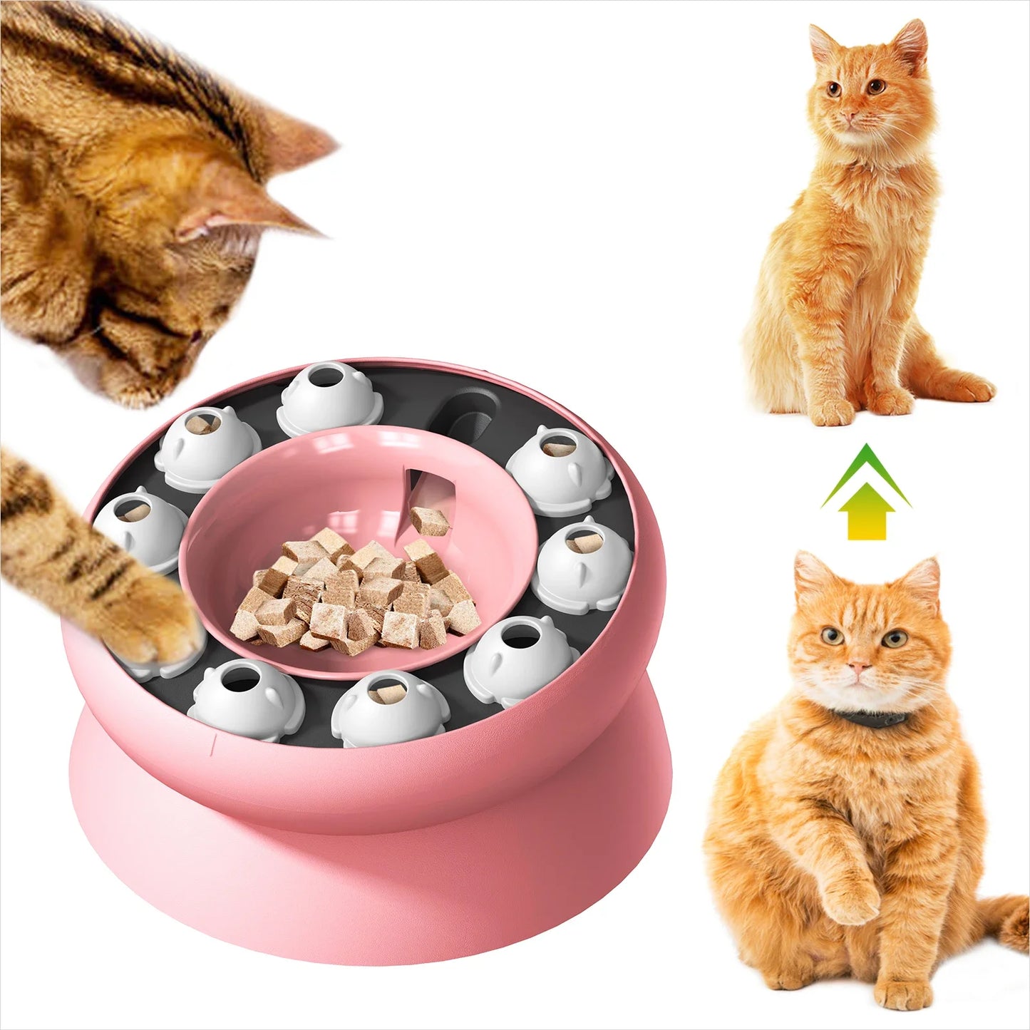 Rotating Cat Food Dispenser Game